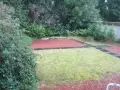back-garden
