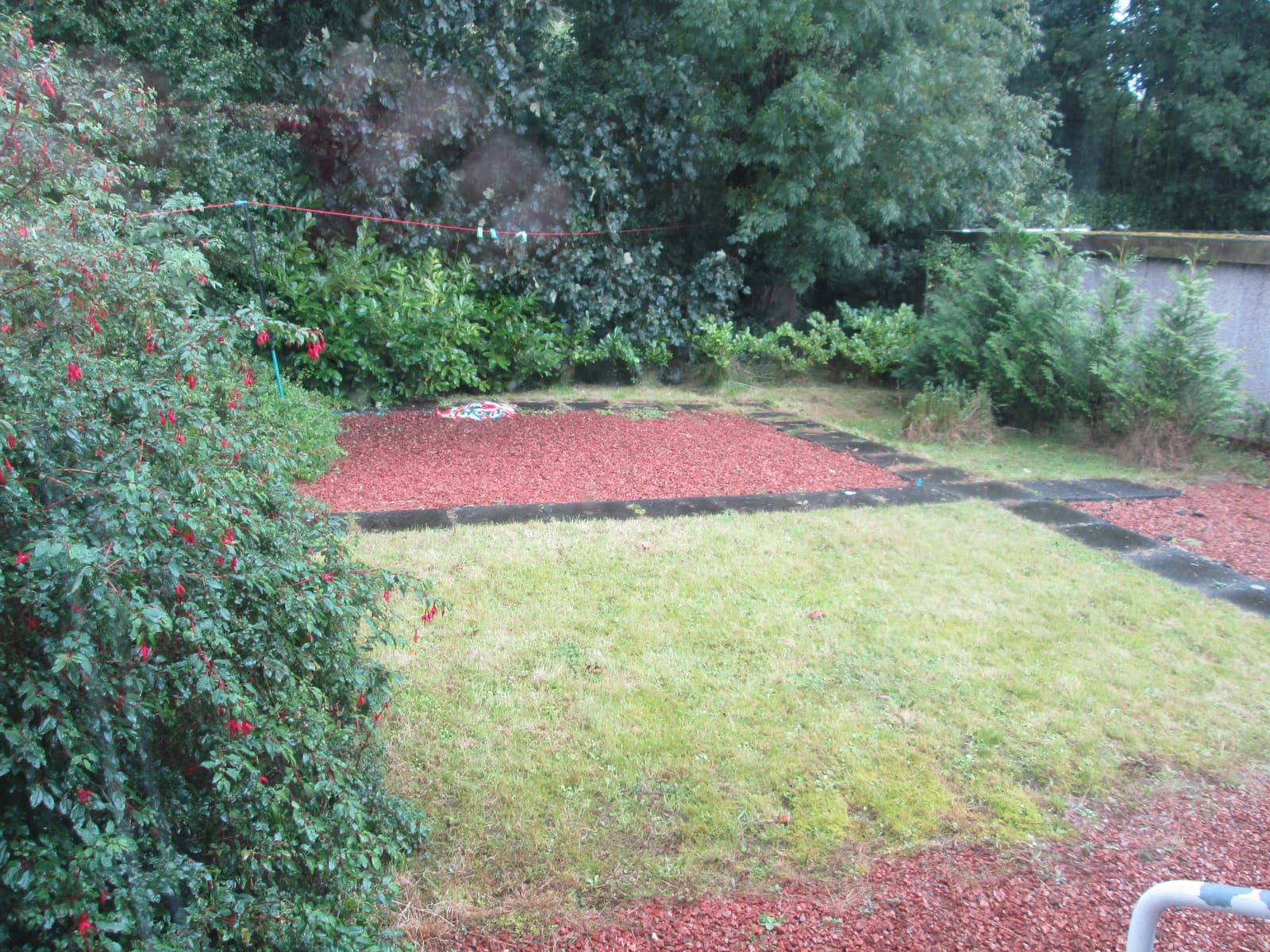 back-garden